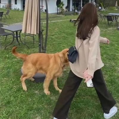 庭怨森森
